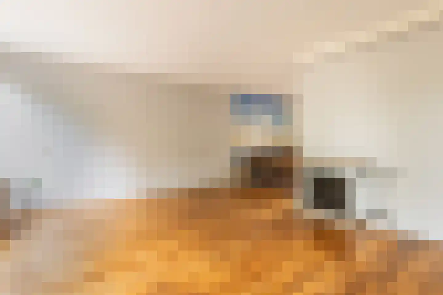 Postmeesterwei 7 Arnhem thumbnail 13