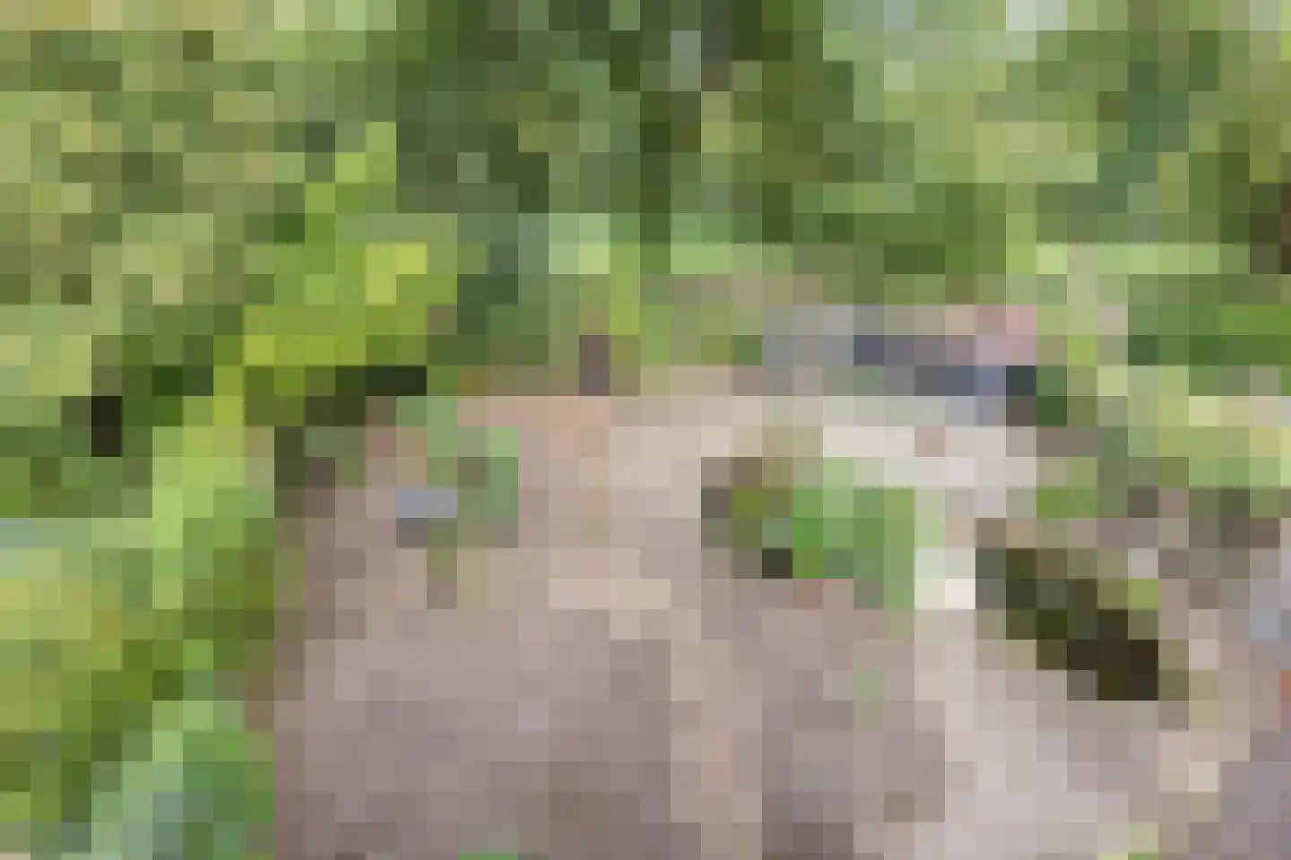 Postmeesterwei 7 Arnhem thumbnail 30