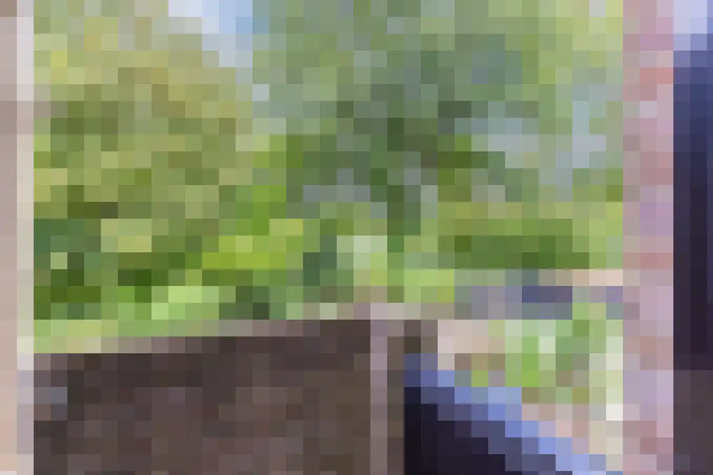 Postmeesterwei 7 Arnhem thumbnail 31