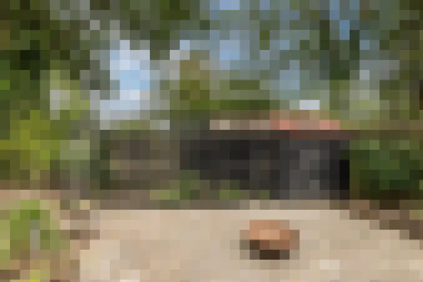 Postmeesterwei 7 Arnhem thumbnail 32