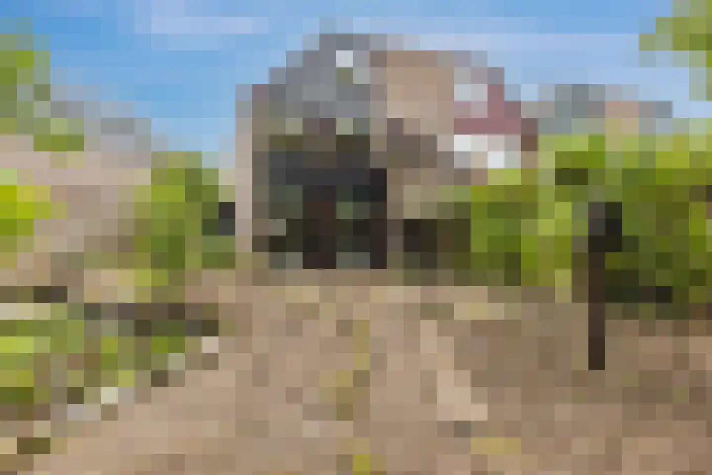 Postmeesterwei 7 Arnhem thumbnail 34