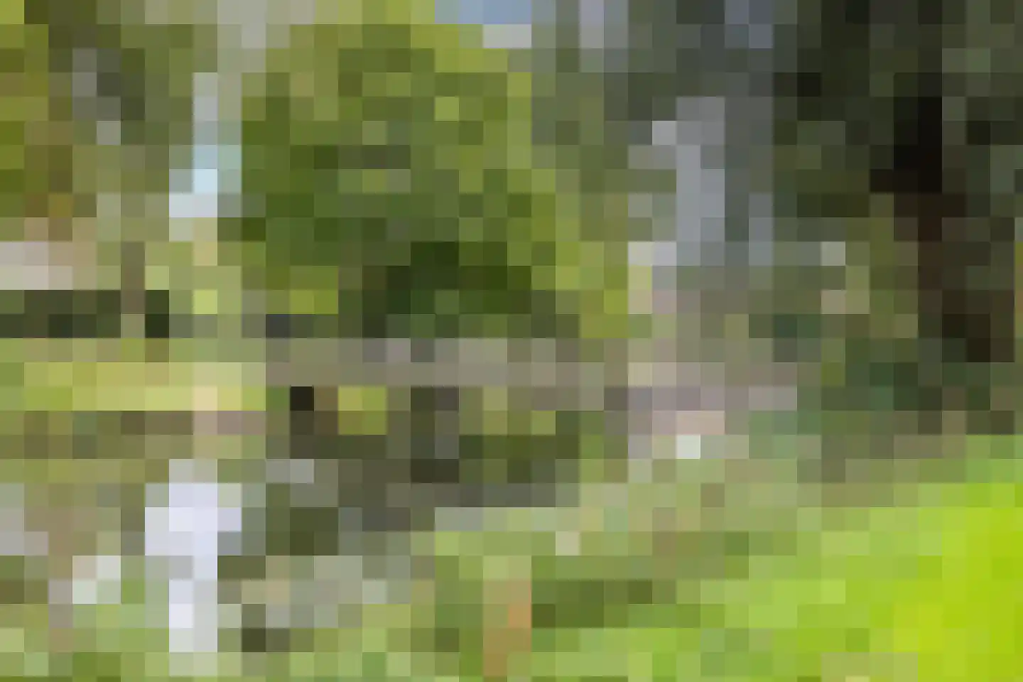 Postmeesterwei 7 Arnhem thumbnail 35