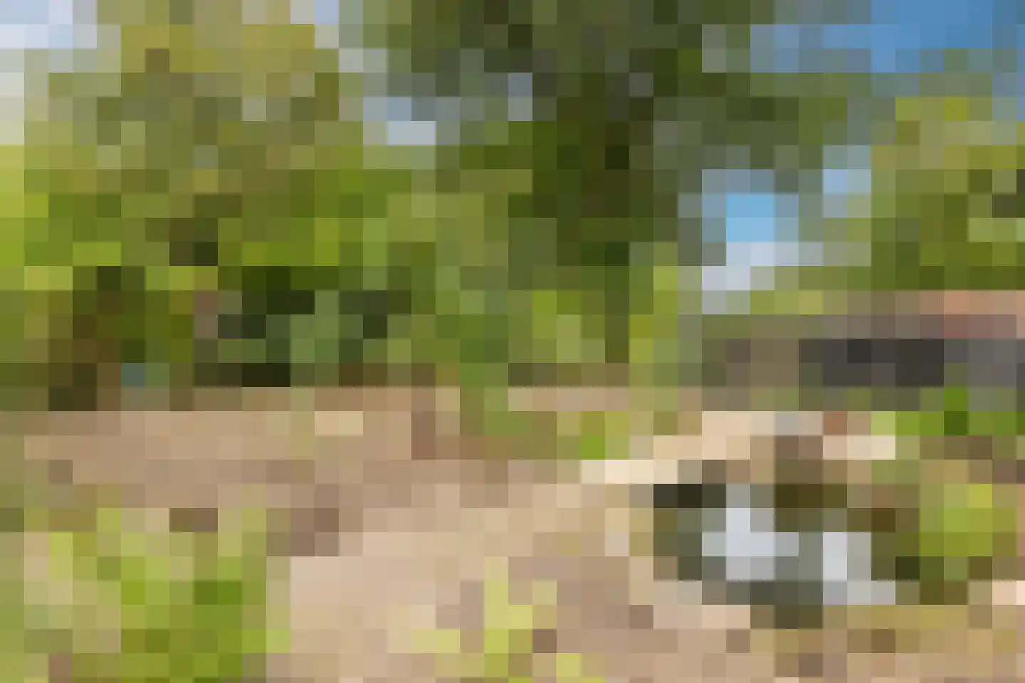 Postmeesterwei 7 Arnhem thumbnail 4