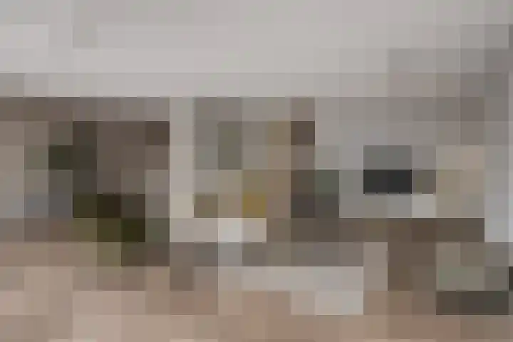 Poststeeg 9 Lochem thumbnail 9