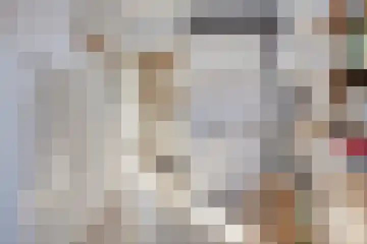 Poststraat 10 Nieuwerkerk thumbnail 23