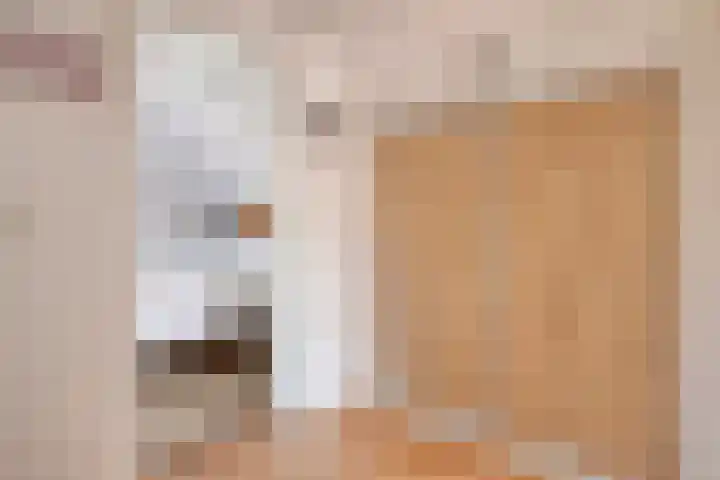 Poststraat 10 Nieuwerkerk thumbnail 26