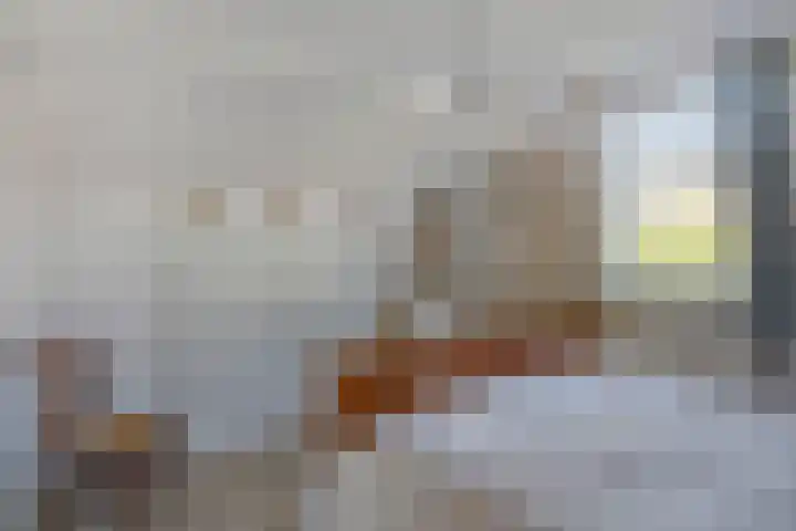 Poststraat 10 Nieuwerkerk thumbnail 28