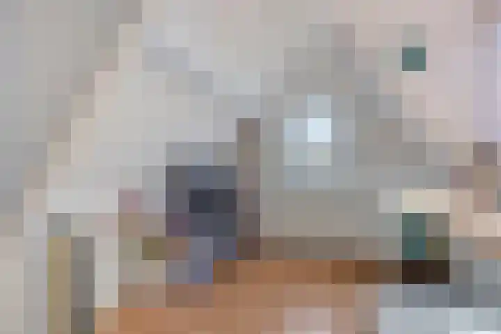 Poststraat 10 Nieuwerkerk thumbnail 34