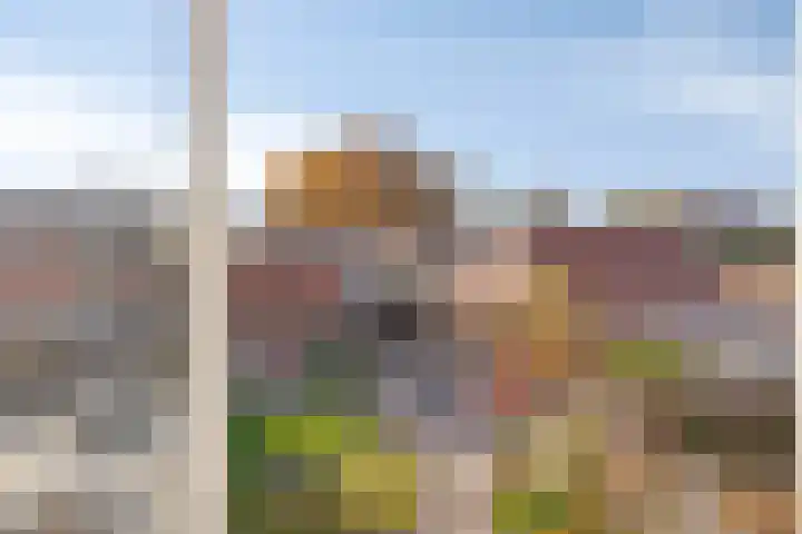 Poststraat 10 Nieuwerkerk thumbnail 36