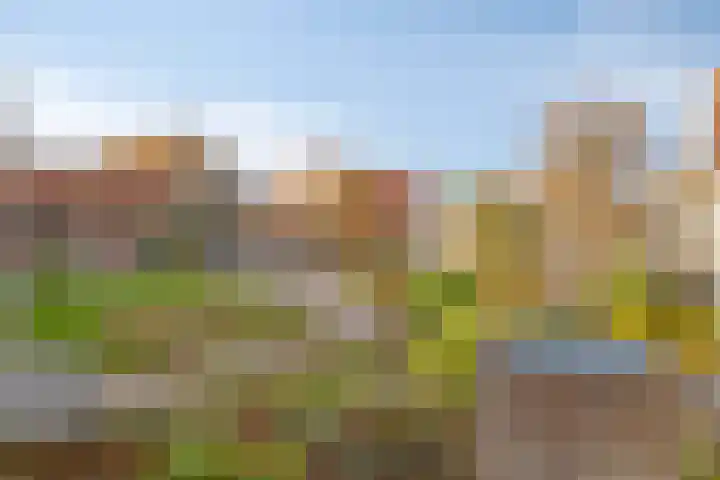 Poststraat 10 Nieuwerkerk thumbnail 39