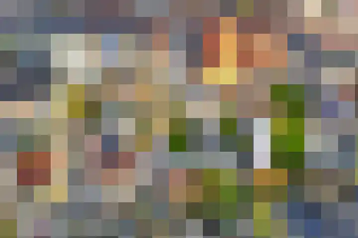 Poststraat 10 Nieuwerkerk thumbnail 6