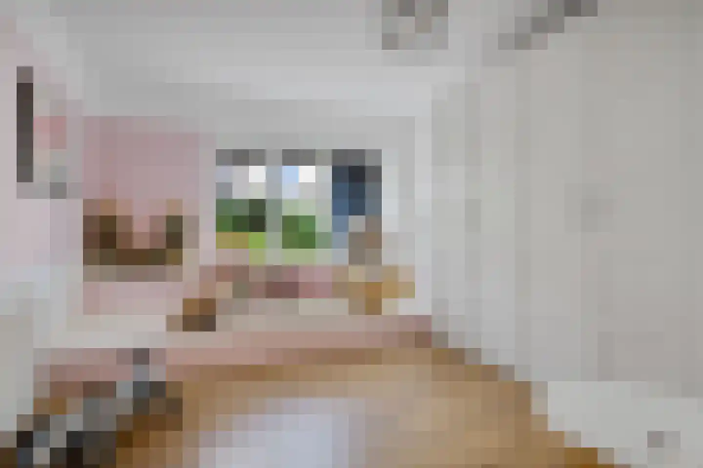 Poststraat 11 a Zandvoort thumbnail 41