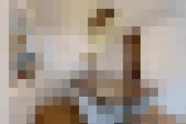 Poststraat 14 Klundert thumbnail 19