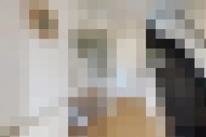 Poststraat 14 Klundert thumbnail 8
