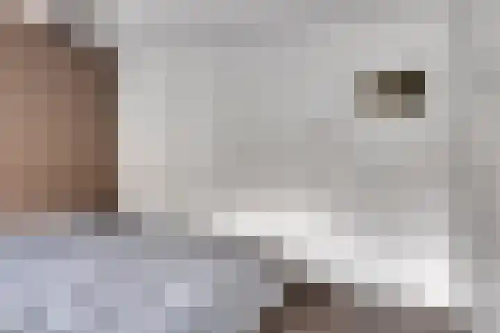 Poststraat 16 Nieuwerkerk thumbnail 20