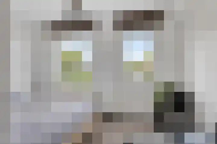 Poststraat 16 Nieuwerkerk thumbnail 21