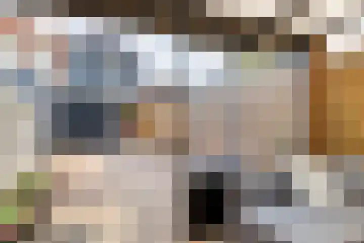 Poststraat 16 Nieuwerkerk thumbnail 29