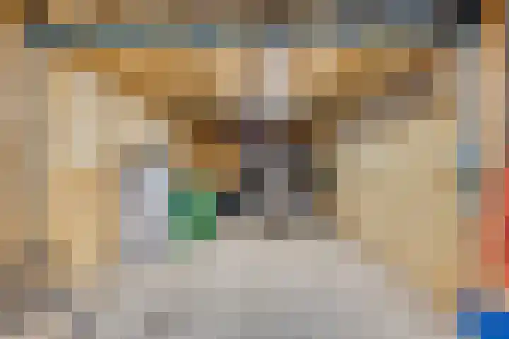 Poststraat 16 Nieuwerkerk thumbnail 32