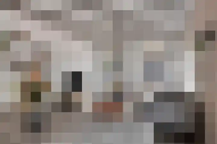 Poststraat 16 Nieuwerkerk thumbnail 6
