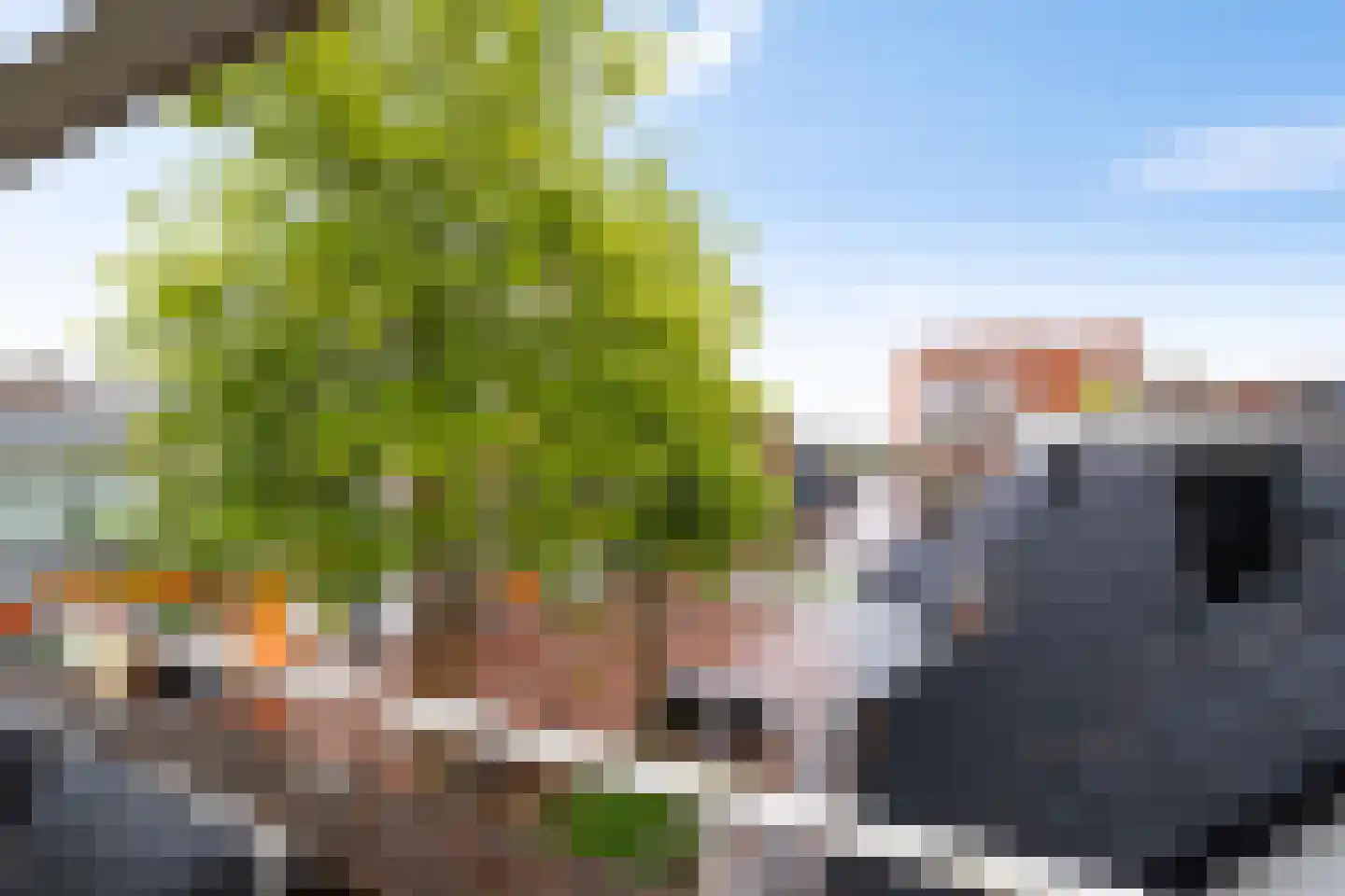 Poststraat 2 A Delfzijl thumbnail 24