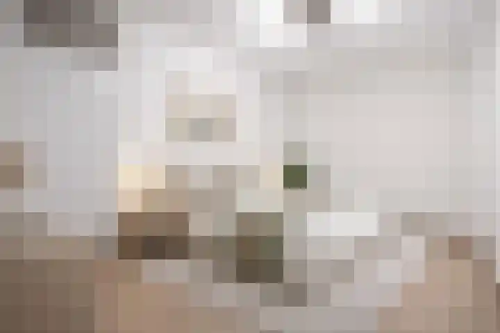 Poststraat 20 Assen thumbnail 28