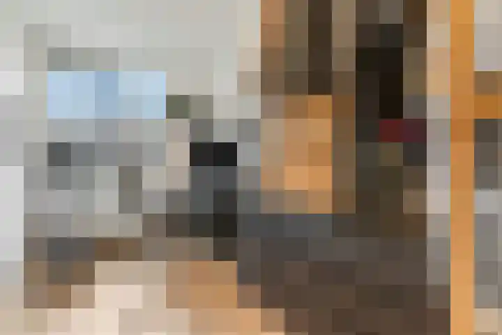 Poststraat 24 Arnhem thumbnail 18