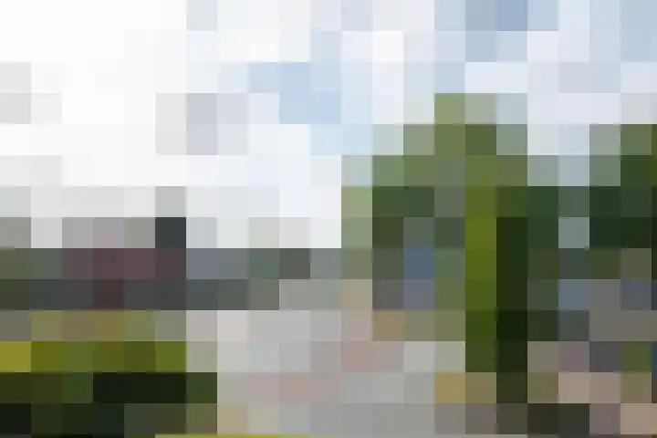 Poststraat 37 Putten thumbnail 13