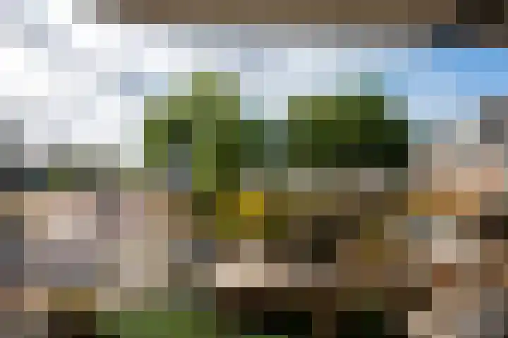 Poststraat 37 Putten thumbnail 7