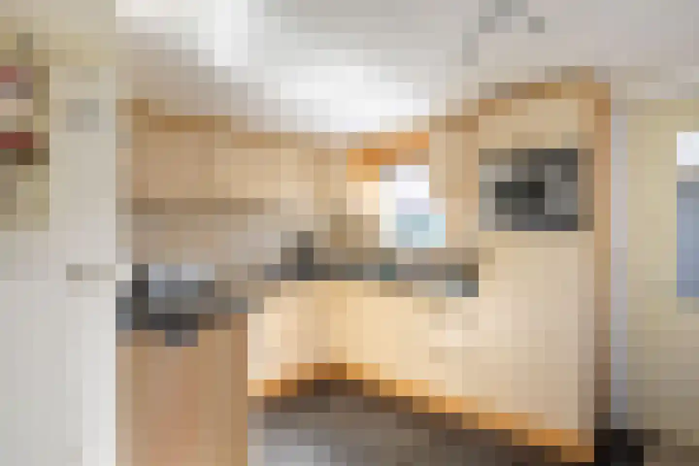 Poststraat 38 Siddeburen thumbnail 29
