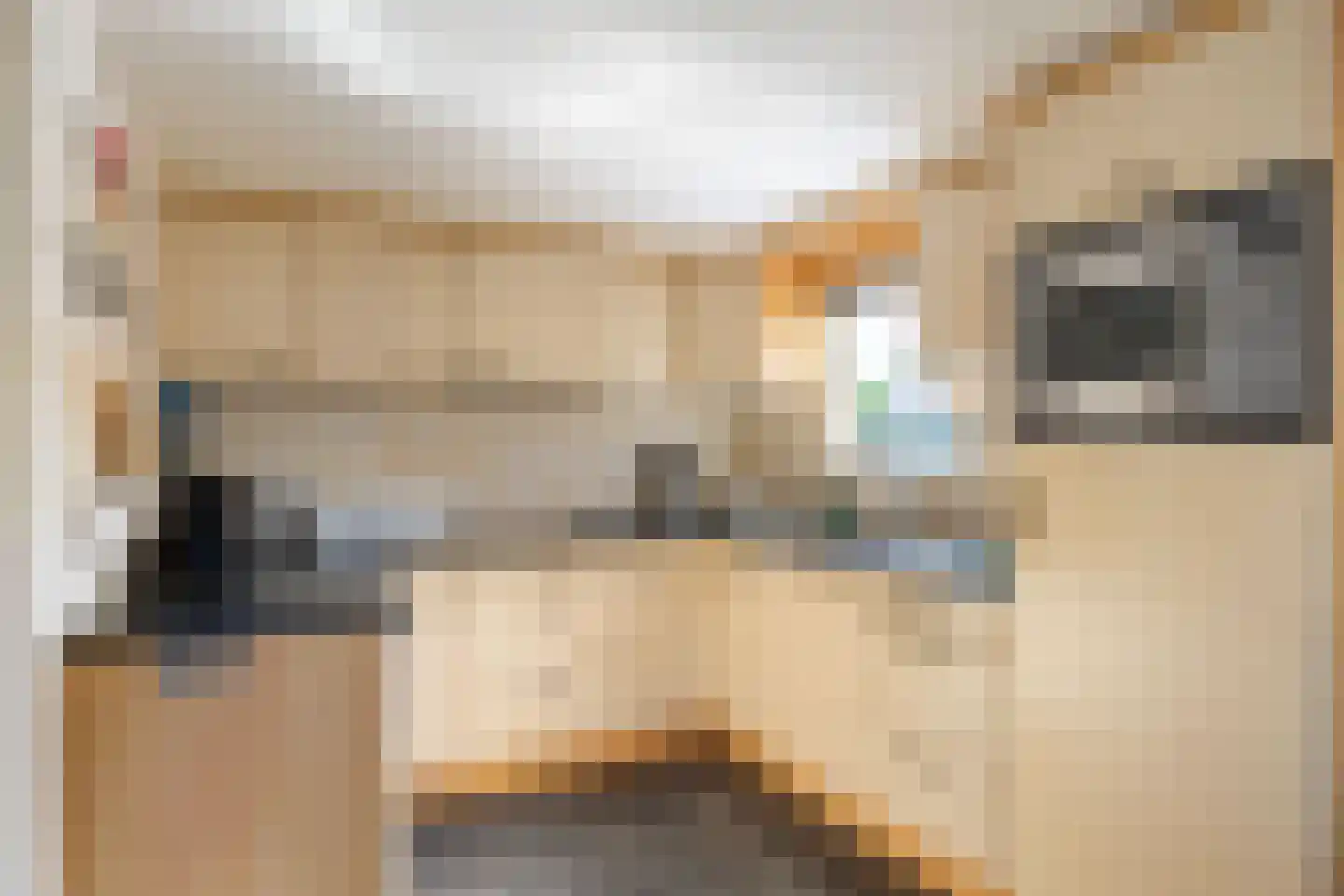 Poststraat 38 Siddeburen thumbnail 31