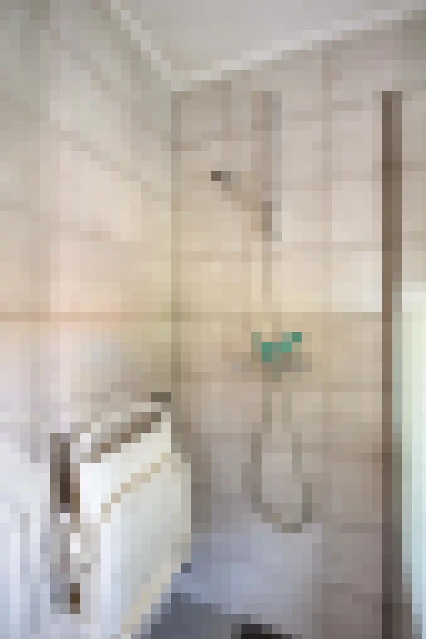 Poststraat 38 Siddeburen thumbnail 48