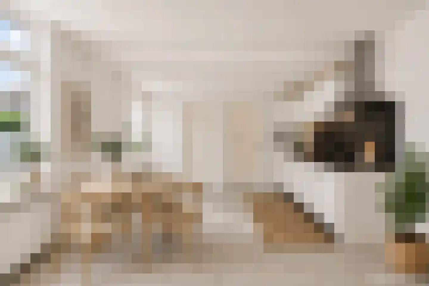 Poststraat 4 Philippine thumbnail 6