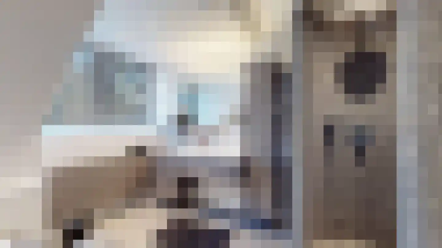 Poststraat 5 Landgraaf thumbnail 34
