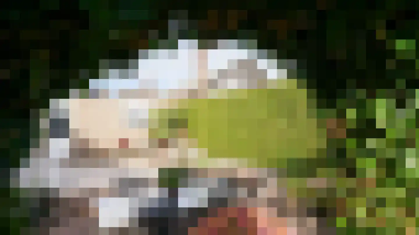Poststraat 5 Landgraaf thumbnail 52