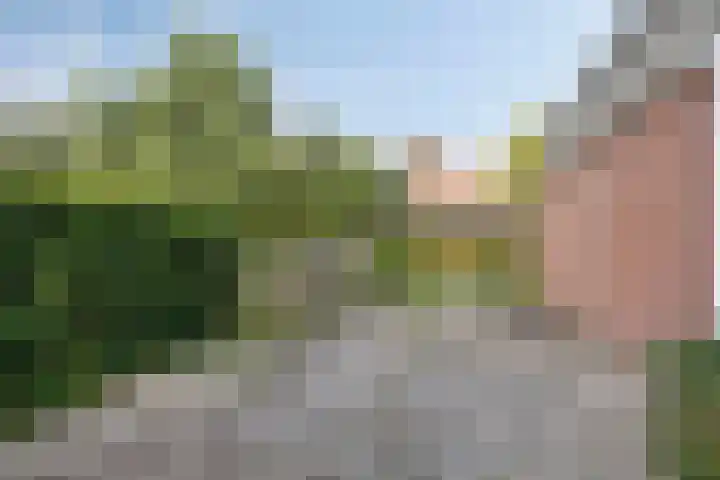 Poststraat 6 Wildervank thumbnail 24