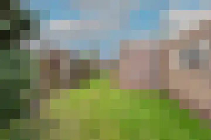 Poststraat 60 Obdam thumbnail 40