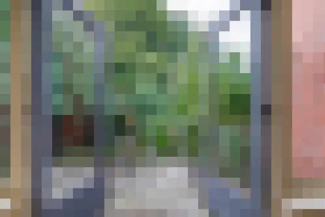 Poststraat 60 Wildervank thumbnail 31