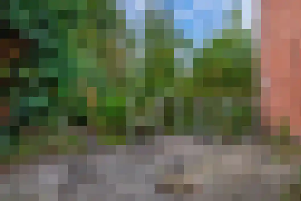 Poststraat 60 Wildervank thumbnail 32