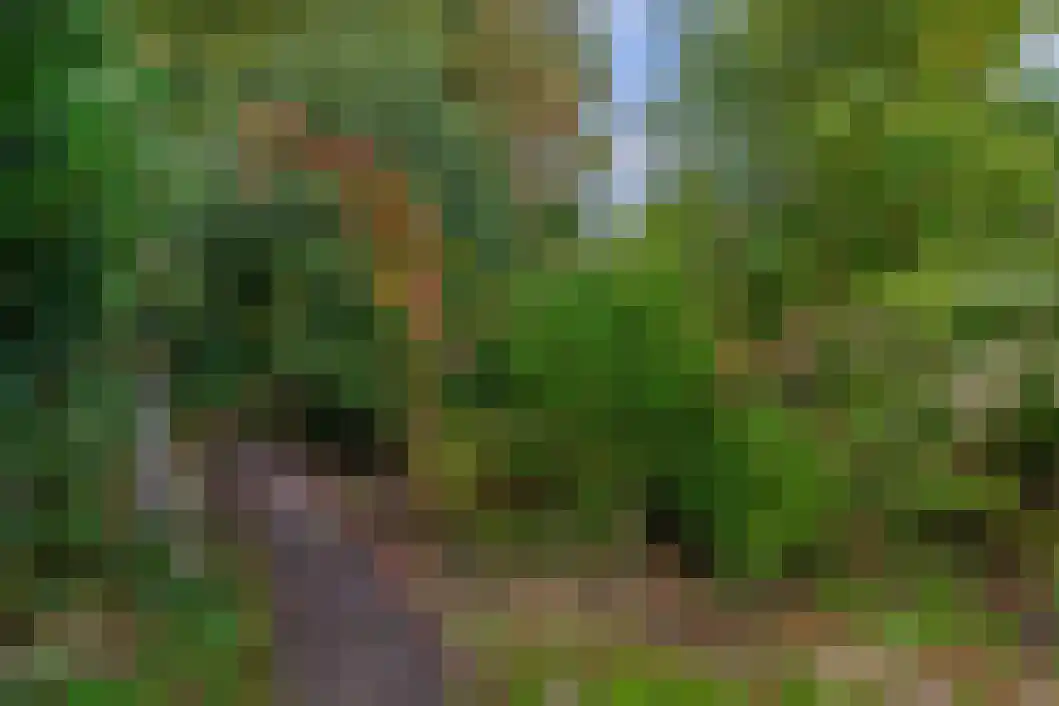 Poststraat 60 Wildervank thumbnail 33