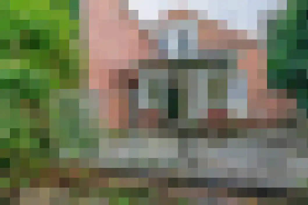 Poststraat 60 Wildervank thumbnail 34