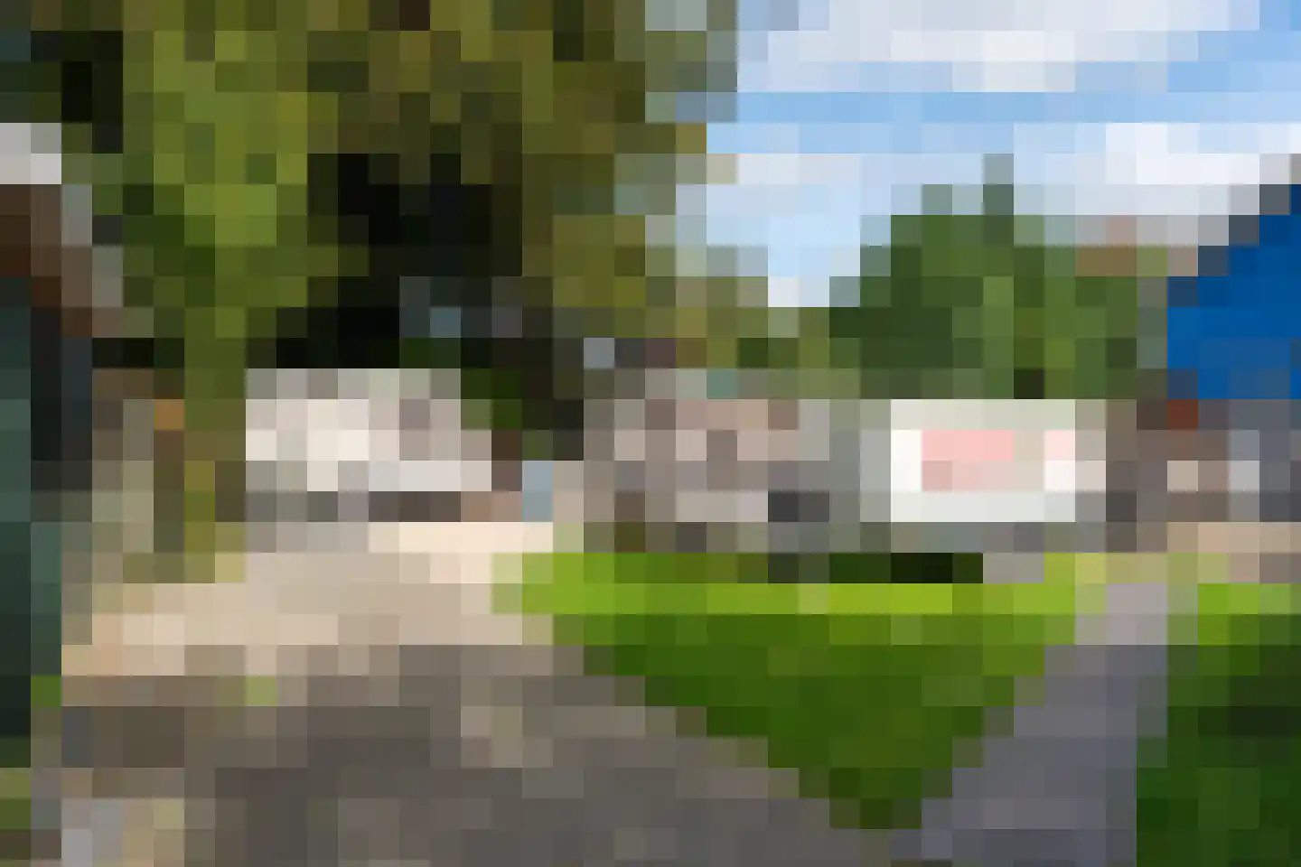 Poststraat 61 Wildervank thumbnail 46