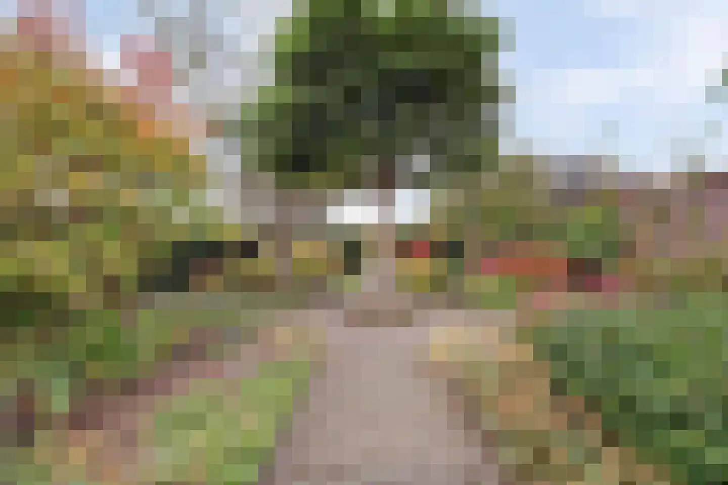 Poststraat 66 Stavenisse thumbnail 39