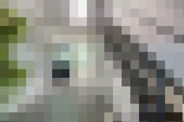 Poststraat 8 Assen thumbnail 8