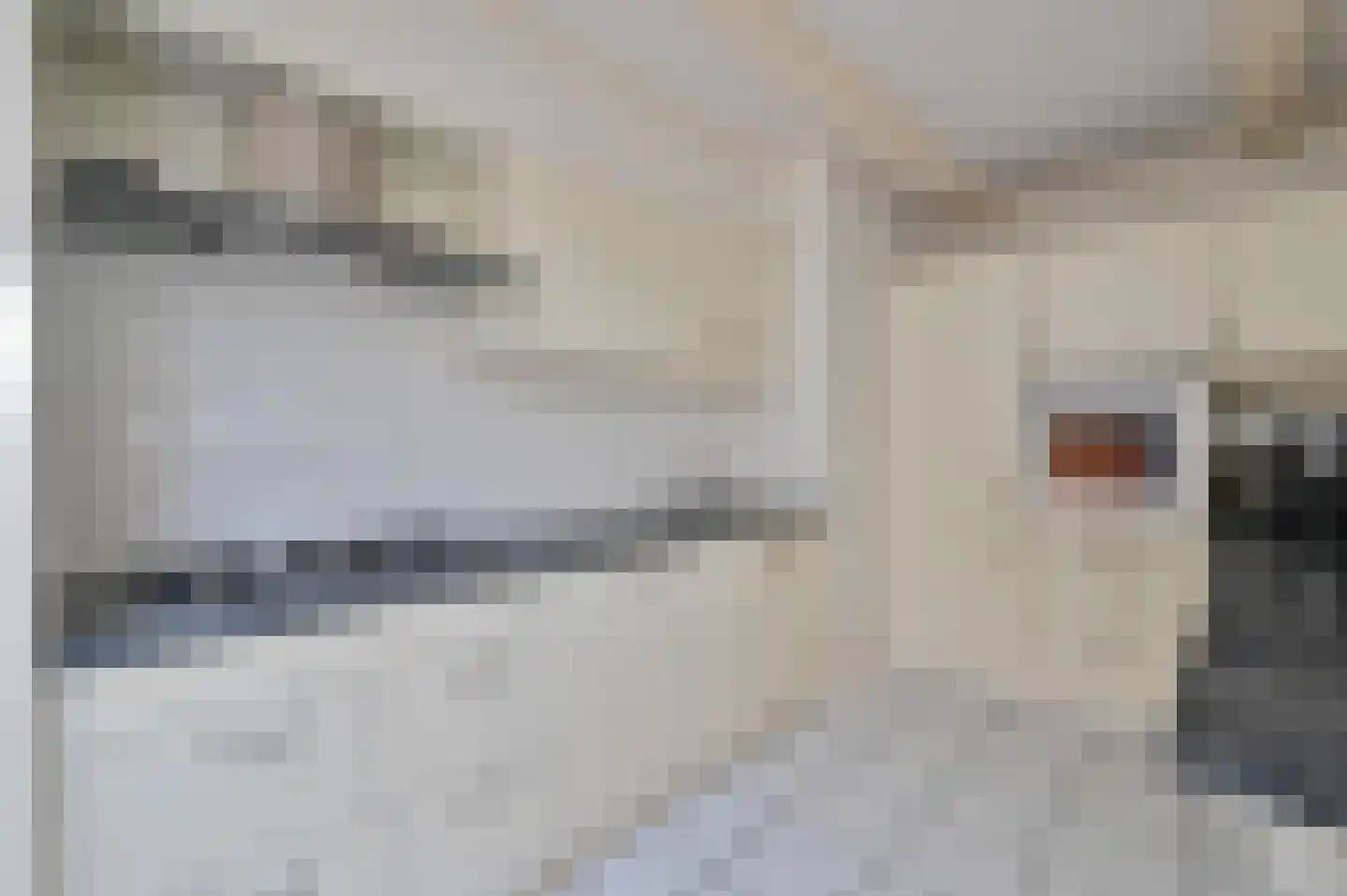 Postulaat 11 Mijdrecht thumbnail 12