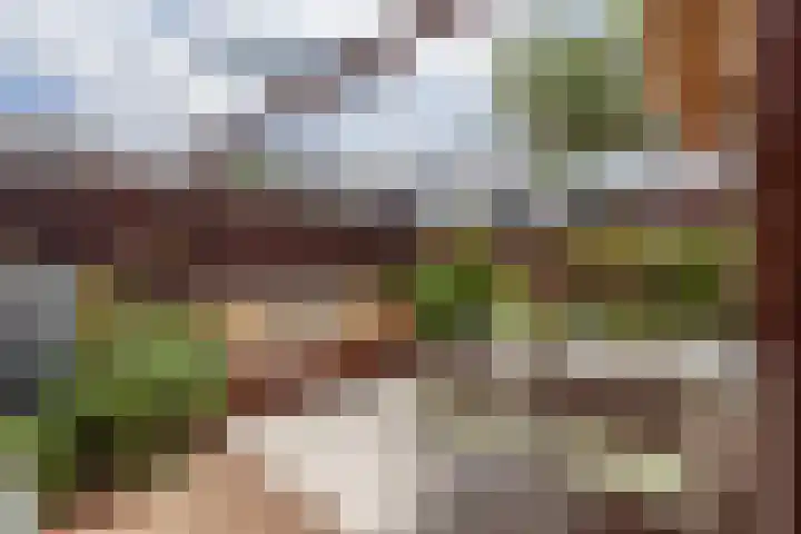 Postulaatguldenhof 11 Utrecht thumbnail 20