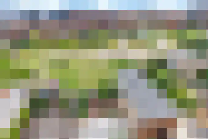 Postulaatguldenhof 11 Utrecht thumbnail 43
