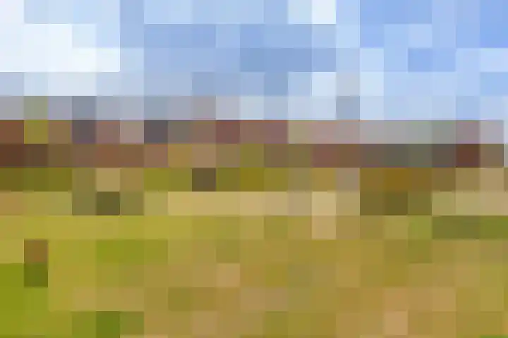 Postulaatguldenhof 11 Utrecht thumbnail 44