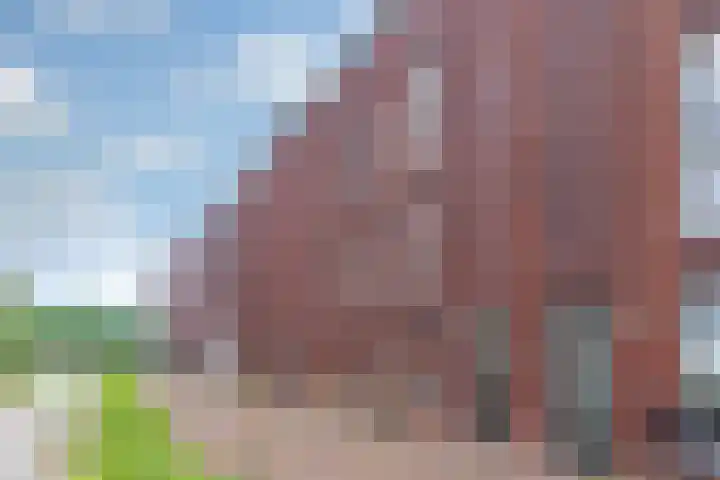Postulaatguldenhof 11 Utrecht thumbnail 49