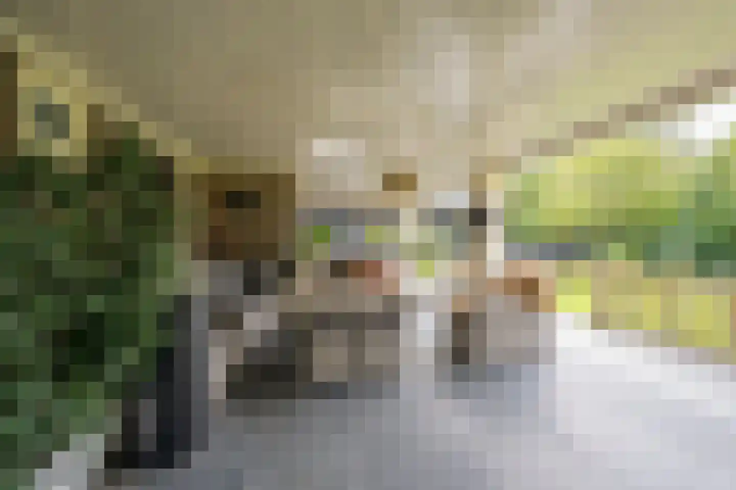 Postweg 10 Leusden thumbnail 10