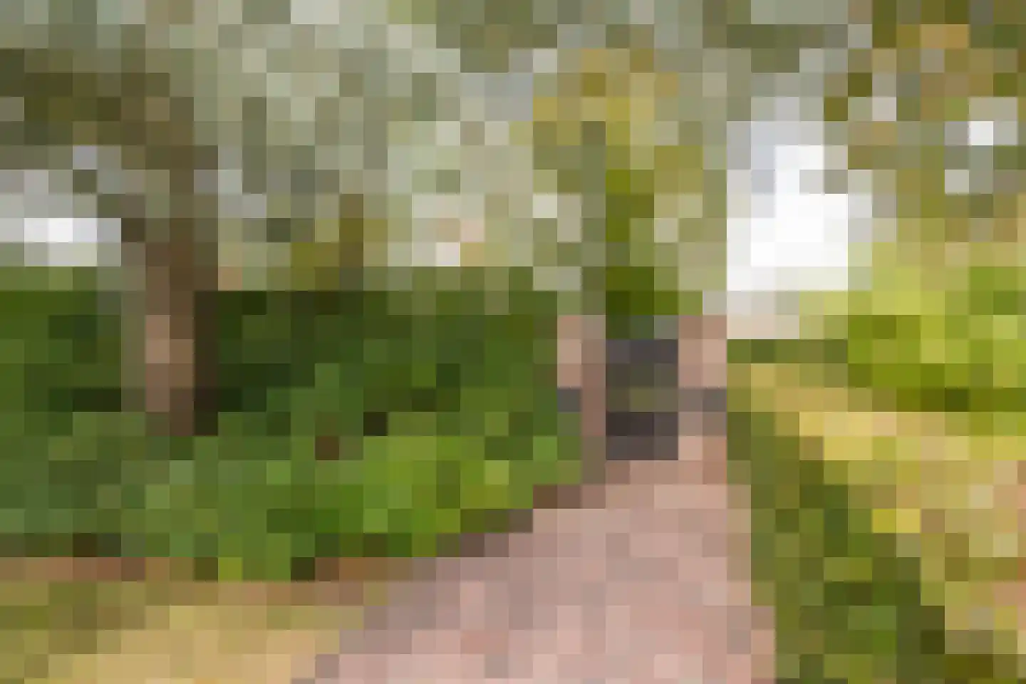 Postweg 10 Leusden thumbnail 41
